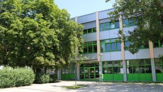 A modern office building with green-framed windows and doors stands in front of a large tree, with a trash bin and a lamp post in front.