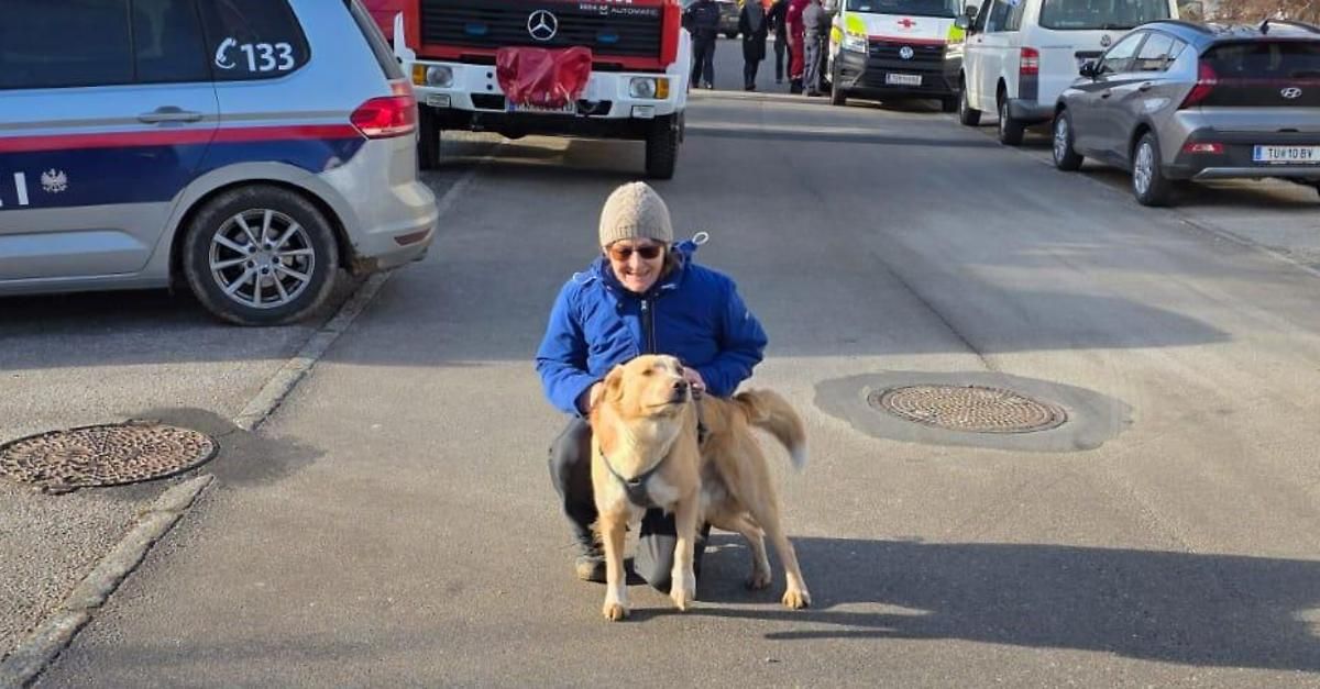 Eine Frau hockt neben einem Hund auf der Straße, mit geparkten Rettungsfahrzeugen in der Nähe. Sie trägt eine blaue Jacke und eine Brille.