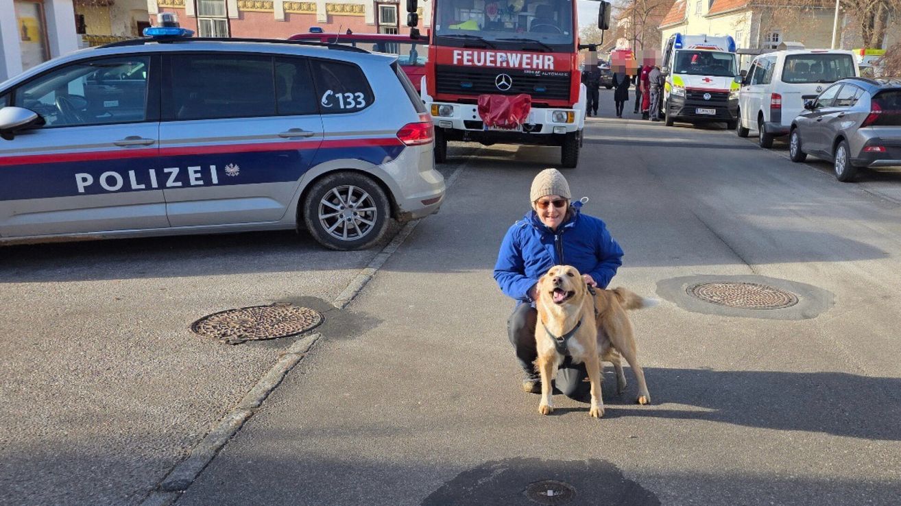 Eine Frau kniet mit einem lächelnden Hund auf einer Straße mit geparkten Autos und Rettungsfahrzeugen, mit einem Feuerwehrauto im Hintergrund.