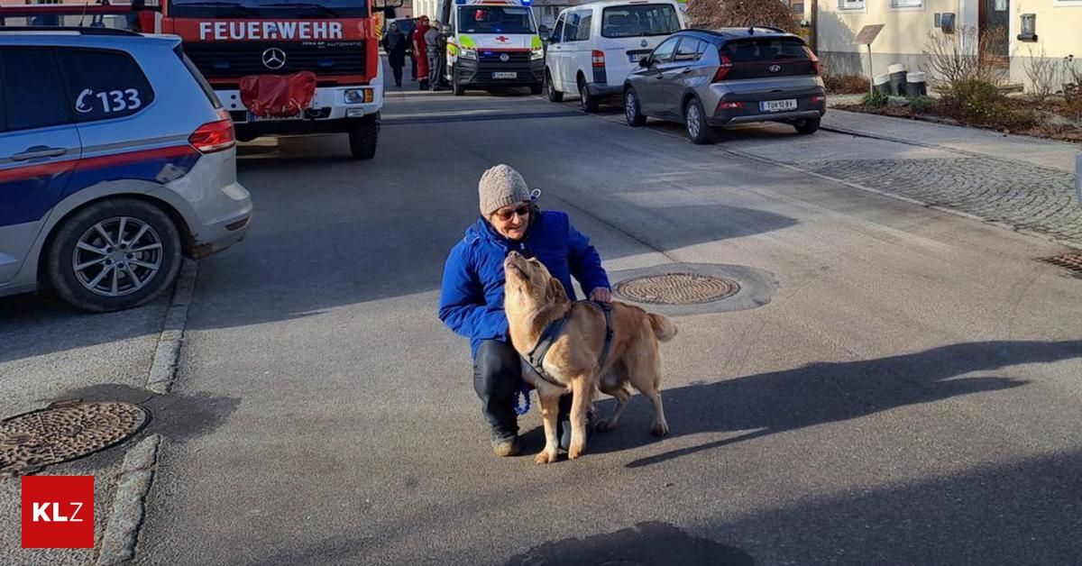 Eine Person in einer blauen Jacke streichelt einen Hund, während Rettungsfahrzeuge am Straßenrand geparkt sind.