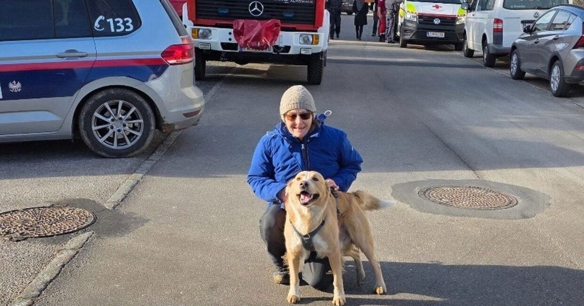 Eine Frau kniet mit einem Golden Retriever in einer Stadtstraße, mit Rettungsfahrzeugen und Menschen im Hintergrund.