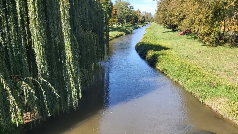 Ein ruhiger Fluss mit üppigem Grün auf beiden Seiten, mit einer Weide auf der linken Seite und einem klaren blauen Himmel darüber.