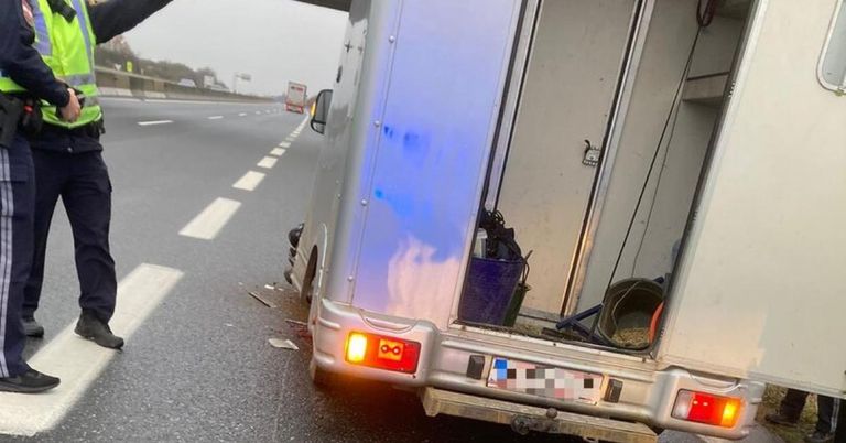 Ein silberner Pferdeanhänger steht am Straßenrand einer Autobahn. Die hinteren Türen sind offen, und ein blauer Eimer befindet sich im Inneren. Das Nummernschild ist unkenntlich gemacht.