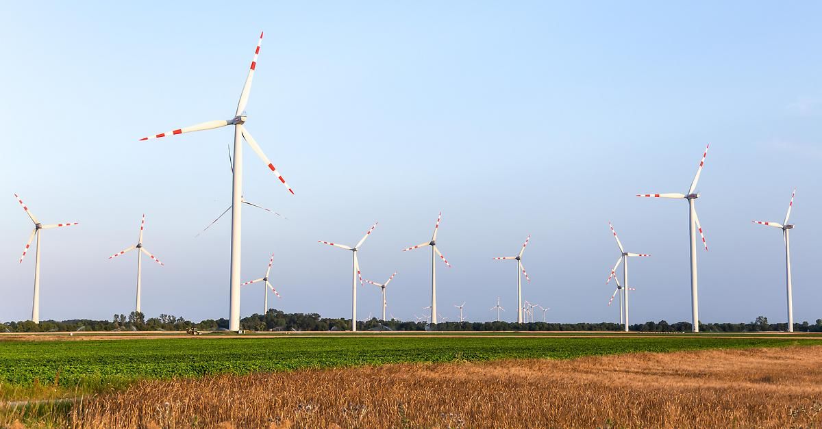 Eine Reihe von Windturbinen mit roten und weißen Rotorblättern steht in einem großen offenen Feld bei klarem blauem Himmel.
