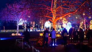Menschen versammeln sich um einen geschmückten Baum mit Lichterketten und Ornamenten, einige machen Fotos und andere bewundern die Dekoration.