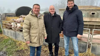 Drei Männer stehen vor einer Schweinefarm. Sie tragen Wintermäntel und lächeln. Ein Mann trägt einen beigen Mantel, der mittlere einen schwarzen Mantel und der rechte einen dunkelblauen Mantel. Hinter ihnen sind Schweine in einem Gehege.