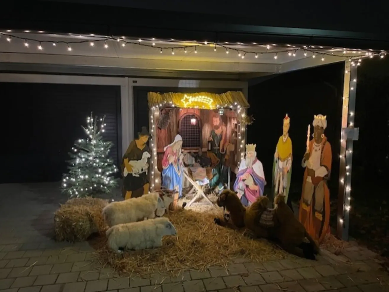 Eine Krippe wird nachts vor einem Haus ausgestellt und zeigt Maria, Josef und das Jesuskind mit Tieren und Weisen, beleuchtet durch Lichterketten und einen Weihnachtsbaum.