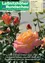 Ein Nahaufnahmebild von Rosen in verschiedenen Blühstadien. Mehrere Rosenknospen und vollständig aufgeblühte Rosen mit verschiedenen Farben sind zu sehen. Der Hintergrund ist unscharf.