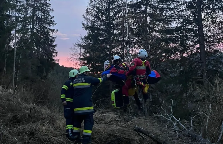 Ein Rettungsteam in Helmen und Uniformen bereitet sich darauf vor, eine Person in einem Gurtzeug aus einem Waldgebiet zu bergen.