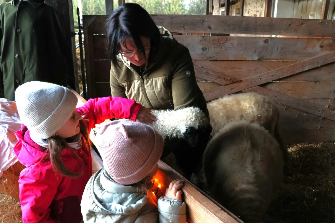 Eine Frau mit Brille streichelt ein Schaf, während zwei Kinder in rosa Mützen zusehen. Das Schaf befindet sich in einem hölzernen Stall.