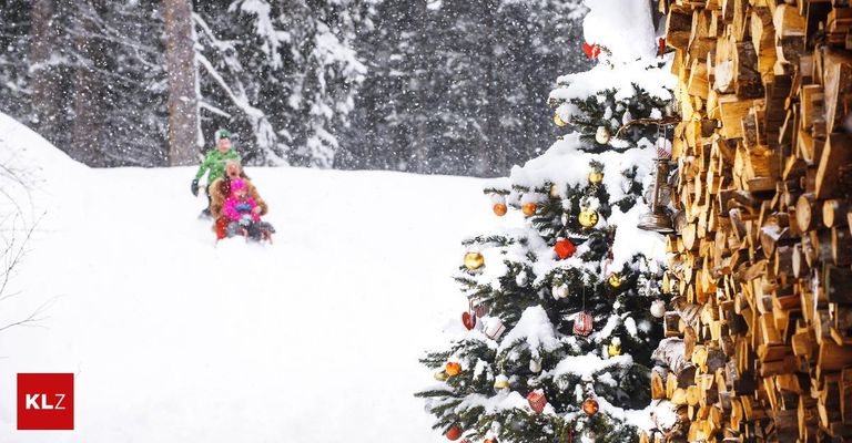 Zwei Kinder rodeln den Schneehügel hinunter und genießen das Winterwetter in der Nähe eines geschmückten Weihnachtsbaums.