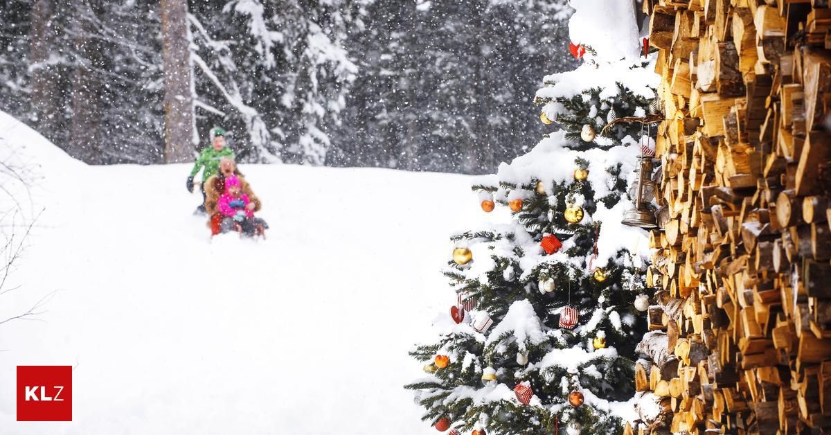 Zwei Kinder rodeln den Schneehügel hinunter und genießen das Winterwetter in der Nähe eines geschmückten Weihnachtsbaums.