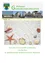 Die Titelseite des Gemeindenachrichtenblattes zeigt verschiedene Gebäude und einen Sandstrand mit Muscheln. Es enthält einen Datumsbereich von Februar 2018 bis Juli. Unter dem Strandbild wünscht eine Nachricht allen einen schönen Sommer und erholsamen Urlaub.