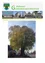 Bild von Gemeindenachrichten mit einer Collage lokaler Gebäude und einem großen Baum. Datum von April bis November 2020.