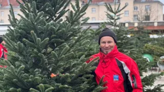 A person in a red jacket and black hat stands next to a large Christmas tree, with more trees and a building in the background.