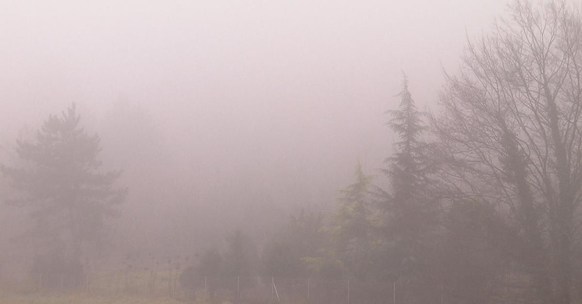 Eine neblige Waldlandschaft mit Bäumen, die durch den Nebel kaum sichtbar sind. Die Atmosphäre ist dicht mit Nebel erfüllt und verdeckt die Details der Umgebung.