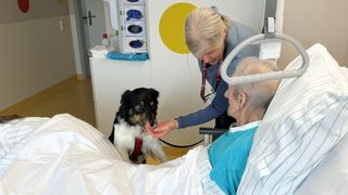 Eine Krankenschwester hilft einem älteren Mann im Krankenhausbett mit einem schwarz-weißen Hund in einem roten Geschirr, der neben ihm steht.