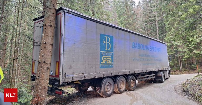 link-preview-image-69427f227d5393fb94f9be21