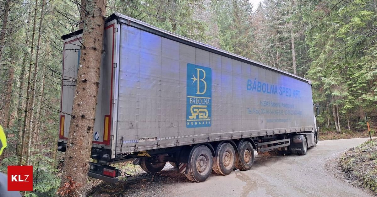 link-preview-image-69427f227d5393fb94f9be21