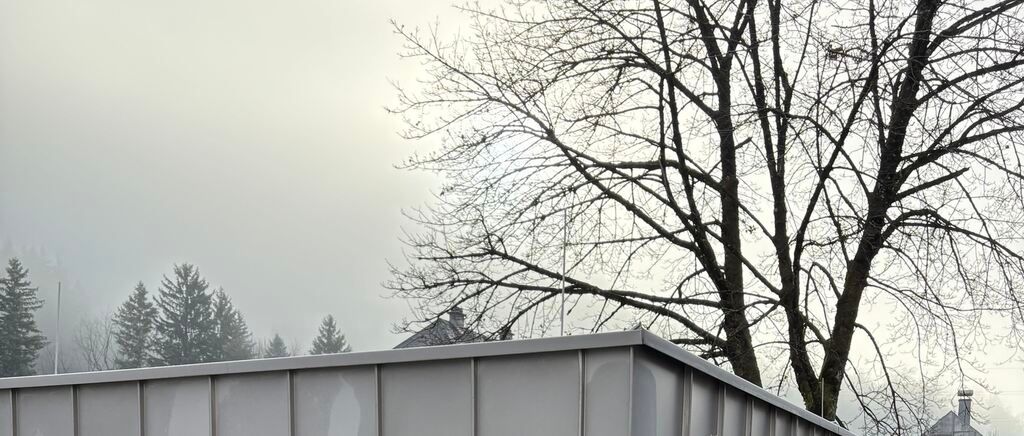 Eine graue Metallstruktur mit Dach befindet sich neben einem kahlen Baum in einer nebligen Umgebung, mit entfernten Bäumen und einem Haus sichtbar.