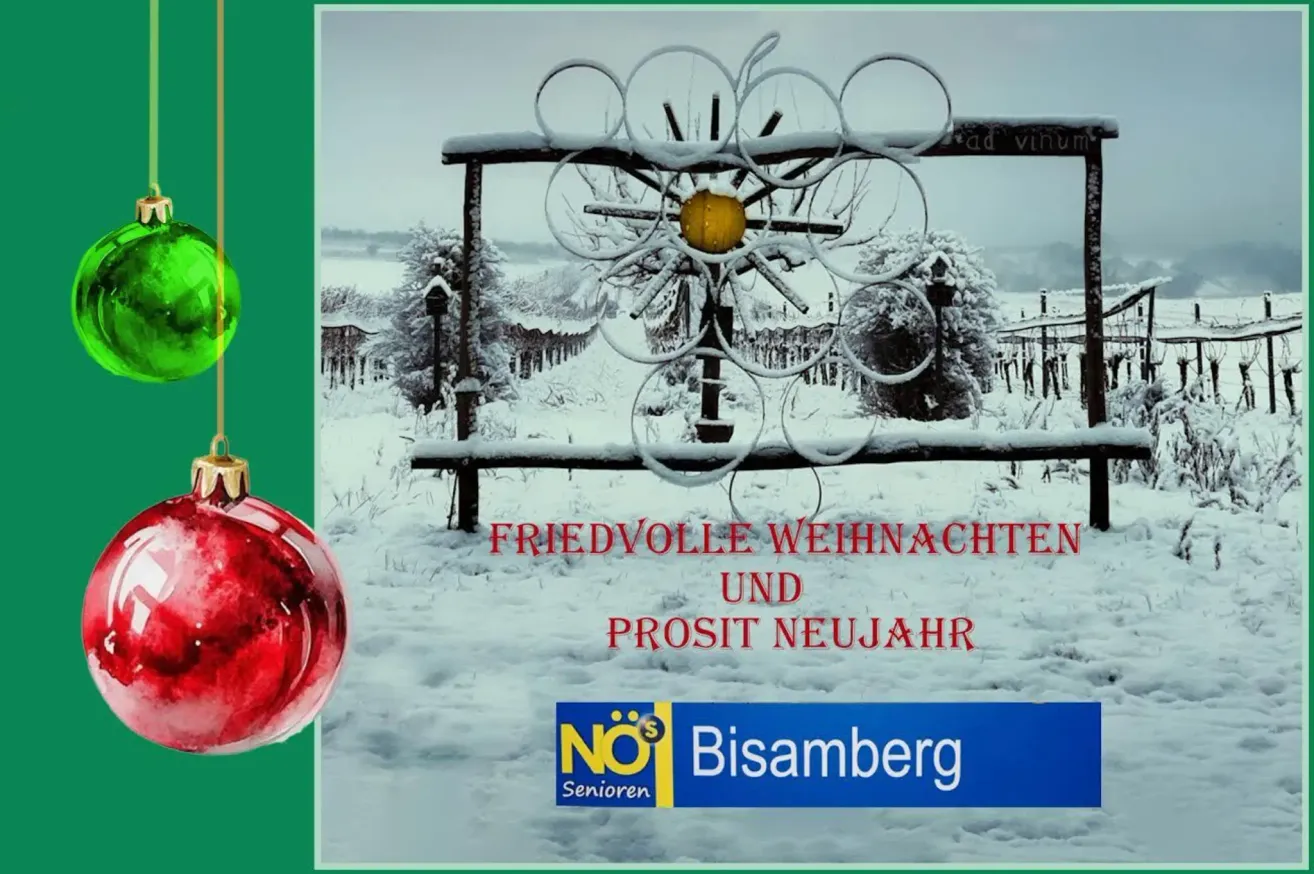 Postkarte mit einem verschneiten Weinberg, einer Blume aus Metallringen, einem roten Weihnachtskugel und einer Nachricht mit dem Wunsch nach friedvollen Weihnachten und einem erfolgreichen neuen Jahr.