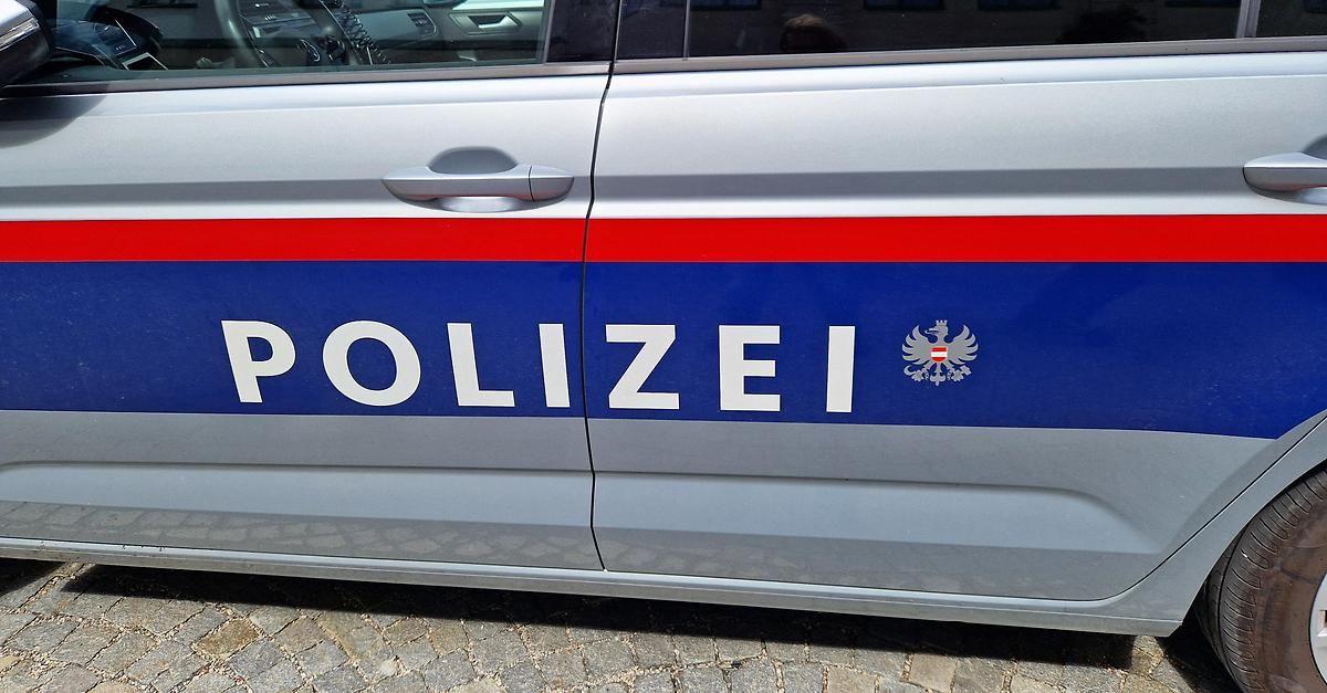 Ein Nahaufnahme von der Seite eines Polizeiwagens mit 'POLIZEI' in Weiß und einem Wappen auf einem blauen Streifen.