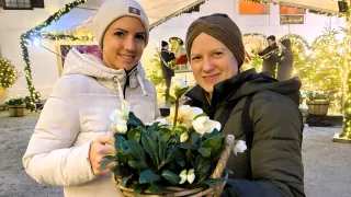 Zwei Frauen in Wintermänteln halten einen Korb mit Blumen. Hinter ihnen spielen Musiker unter einem Baldachin Blechblasinstrumente.