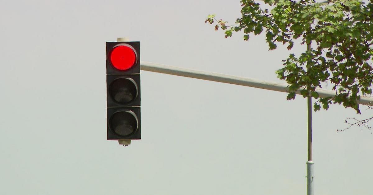 Eine rote Ampel ist beleuchtet und zeigt Halt an. Sie ist an einem Metallpfosten montiert, mit einem Baumzweig rechts davon.