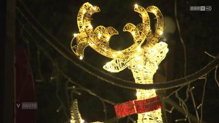 Ein goldener Drahtrahmen-Reh mit beleuchteten Geweihen und einem roten Band um den Hals leuchtet im Dunkeln. Der Hintergrund ist dunkel mit einigen schwachen Lichtreflexionen.