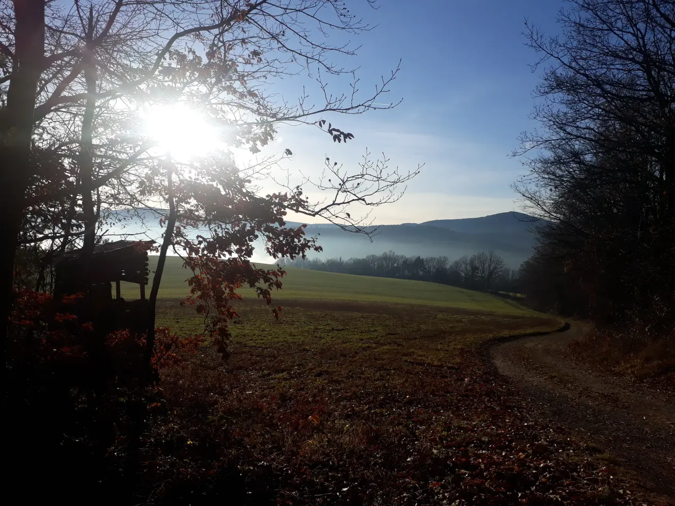 Eine strahlende Sonne erhellt eine neblige Landschaft, die ein grasiges Feld, Bäume und ferne Berge unter einem klaren blauen Himmel zeigt.