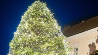 A tall Christmas tree adorned with white lights stands in front of a building under a clear night sky.
