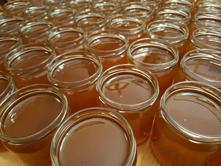 Ein Holztisch ist mit zahlreichen Glasgläsern gefüllt, die honigfarbenen Honig enthalten. Jedes Glas hat einen silbernen Deckel und ist bis zum Rand gefüllt.