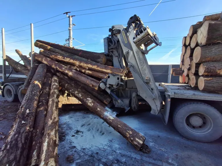 A crane is unloading logs from a truck on a road. The logs are piled up, and some are on the ground. The crane is on the right side.