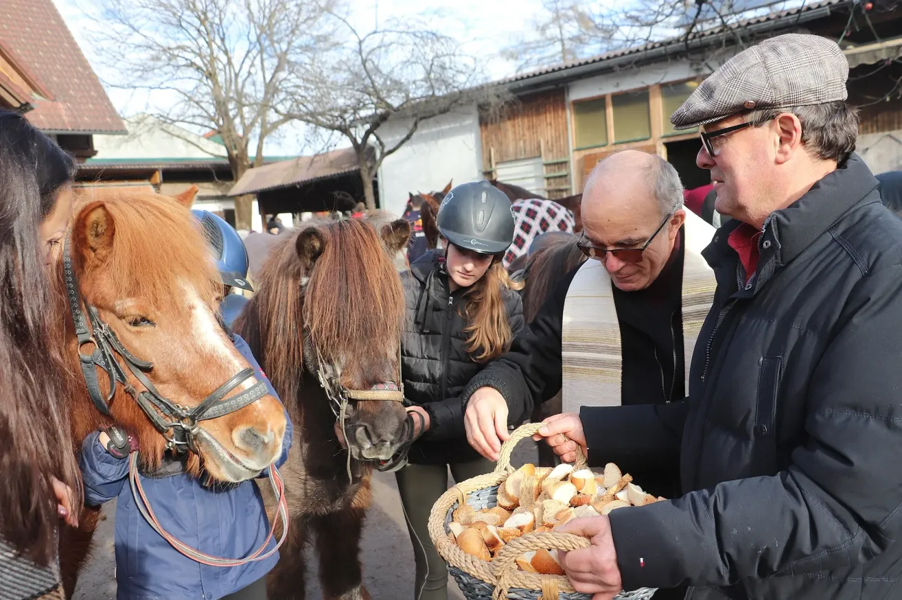 Zwei Personen füttern kleine Pferde mit Brot aus einem Korb, tragen Helme und Jacken. Sie befinden sich in einer Außenumgebung mit Gebäuden und Bäumen im Hintergrund.