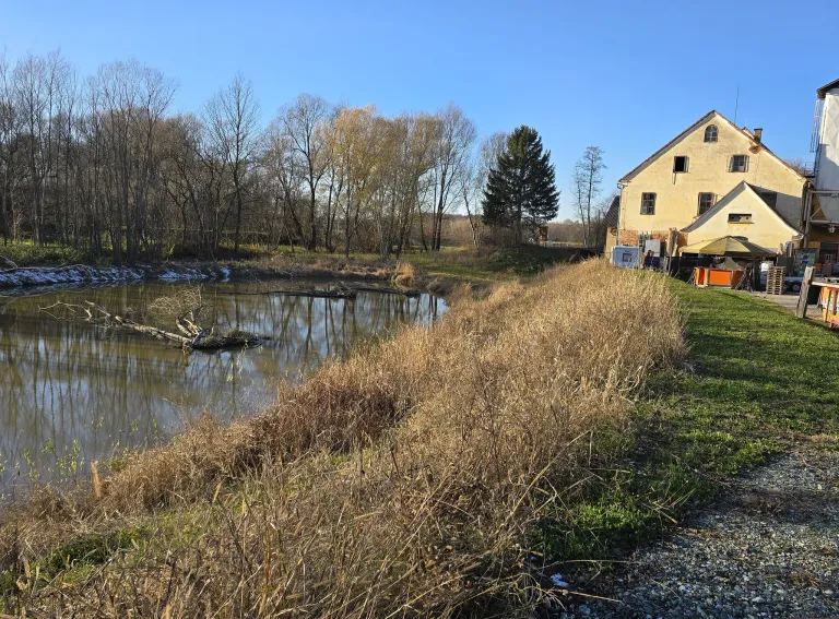 Ein ruhiger Teich liegt in einer ländlichen Umgebung, umgeben von trockenem Gras und Bäumen. Ein Haus mit gelber Außenfassade befindet sich in der Nähe, und ein Fahrzeug ist davor geparkt.