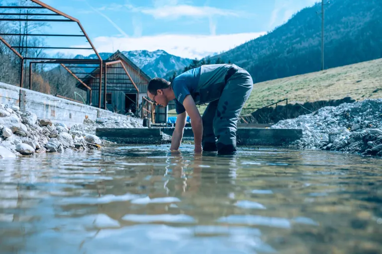 Ein Mann beugt sich in einem Gewässer, vielleicht um etwas zu sammeln. Dahinter befindet sich eine Holzstruktur und eine Bergkette.