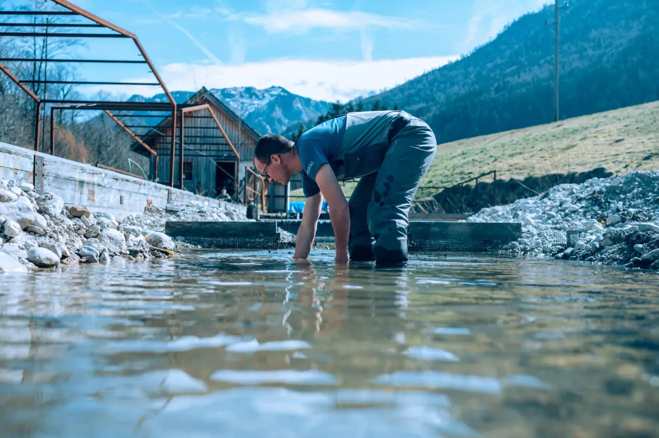 Ein Mann beugt sich in einem Gewässer, vielleicht um etwas zu sammeln. Dahinter befindet sich eine Holzstruktur und eine Bergkette.