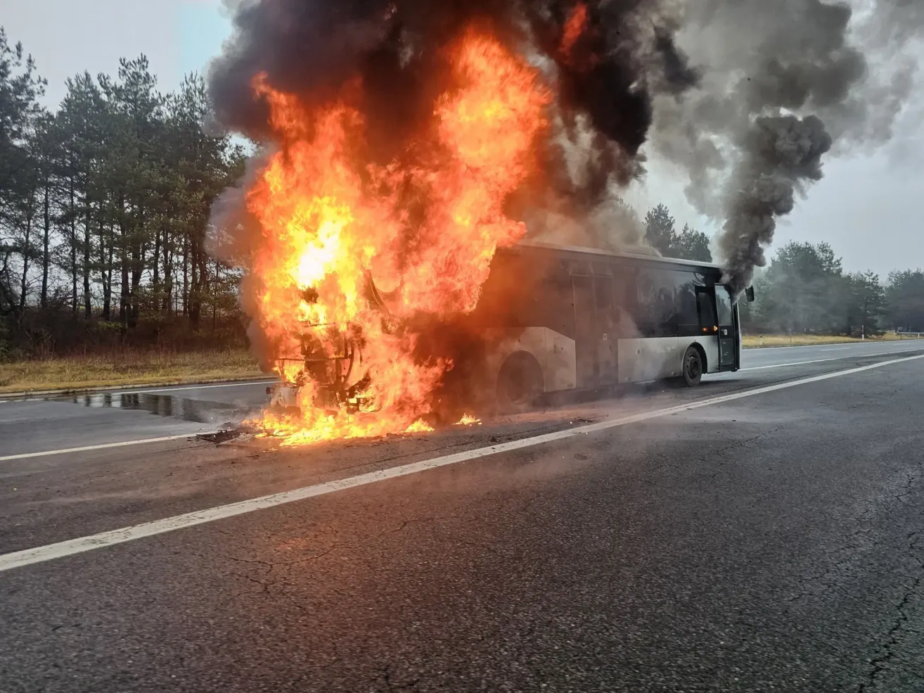 Ein Bus steht auf der Straßenseite in Flammen, mit Bäumen im Hintergrund.