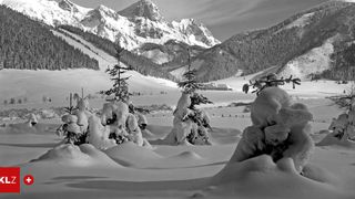 Ein Schwarz-Weiß-Foto zeigt eine verschneite Berglandschaft mit Kiefern und Skifahrern in der Ferne.