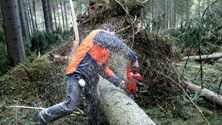 Ein Mann in einem orangefarbenen Sicherheitsweste schneidet einen umgestürzten Baum mit einer Kettensäge im Wald.