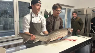 Drei Personen stehen in einer Küche. Zwei von ihnen halten einen großen Fisch, während eine dritte Person hinter ihnen lächelt.