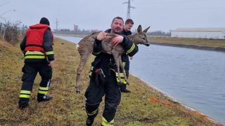 Ein Feuerwehrmann hält ein nasses Reh an den Hinterbeinen und lächelt, wobei das Reh vor einem Kanal steht. Ein anderer Feuerwehrmann beobachtet von hinten.