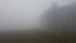 Eine neblige Landschaft mit einem grasbewachsenen Feld und Bäumen, die in Nebel gehüllt sind. Der Himmel ist bedeckt.
