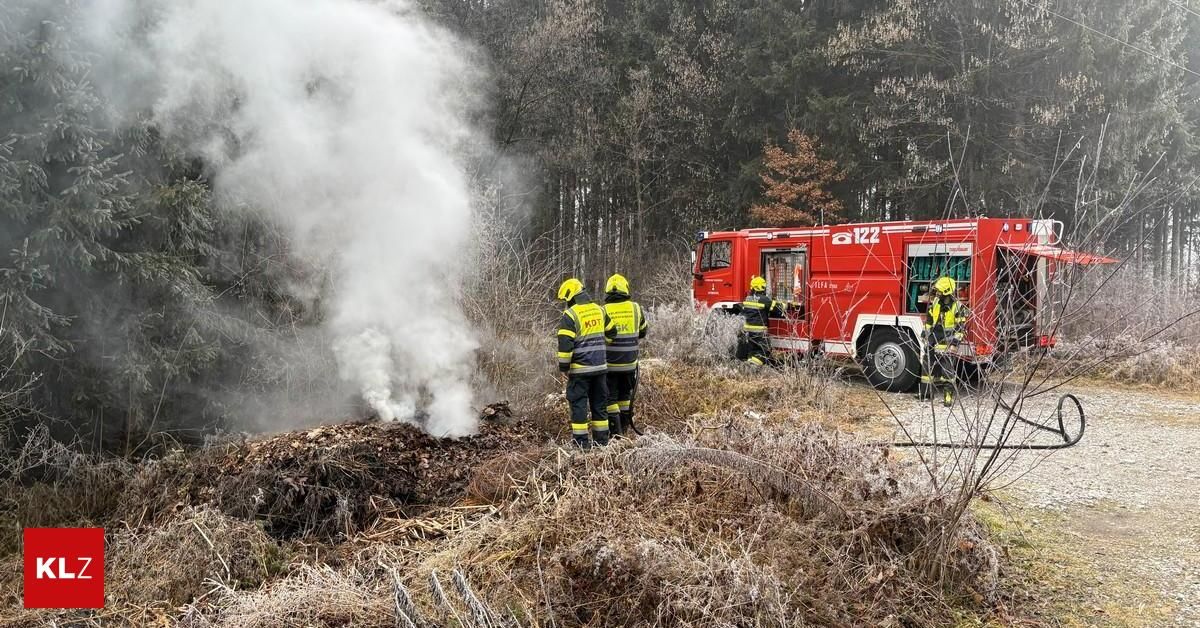 Eine Gruppe Feuerwehrleute in gelben Helmen steht in der Nähe eines roten Feuerwehrwagens, wahrscheinlich im Einsatz bei einem Brand mit Rauch in einem Wald.