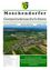Die Titelseite eines Gemeindenachrichtenblattes für Moschendorf zeigt eine Luftaufnahme des Dorfes mit grünen Feldern und Häusern. Der Text lautet 'Moschendorfer Gemeindenachrichten' und das Datum ist 6/2024. Die Website ist www.moschendorf.at. Das Bild enthält auch einige Statistiken und Informationen.