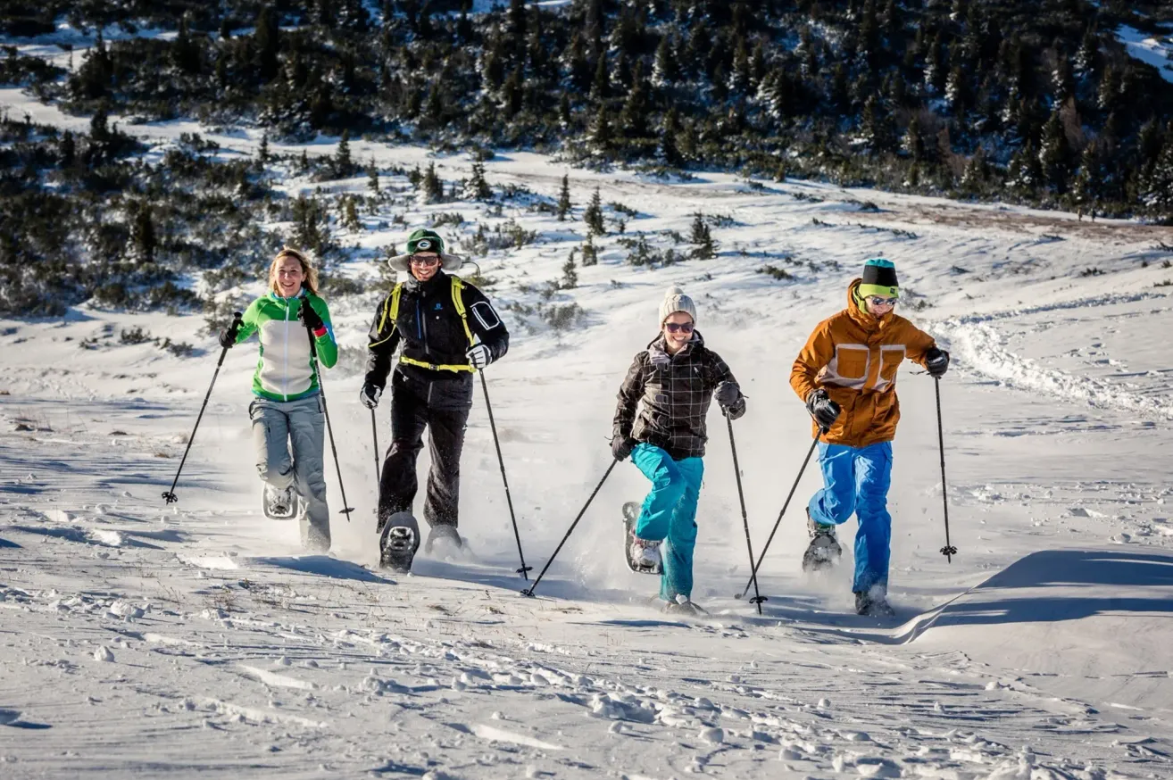 Vier Personen üben Langlauf auf einem verschneiten Berg und tragen Winterkleidung. Sie verwenden Skistöcke und scheinen in Bewegung zu sein. Der Hintergrund zeigt eine verschneite Landschaft mit Kiefernbäumen.