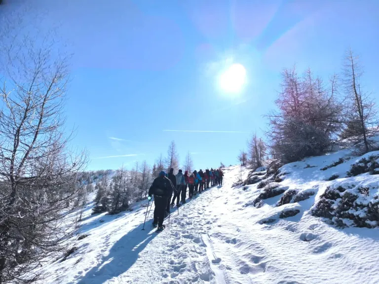 Eine Gruppe von Menschen skifahrert einen schneebedeckten Berg hinauf, mit Bäumen auf beiden Seiten, unter einem klaren blauen Himmel, bei dem die Sonne hell scheint.
