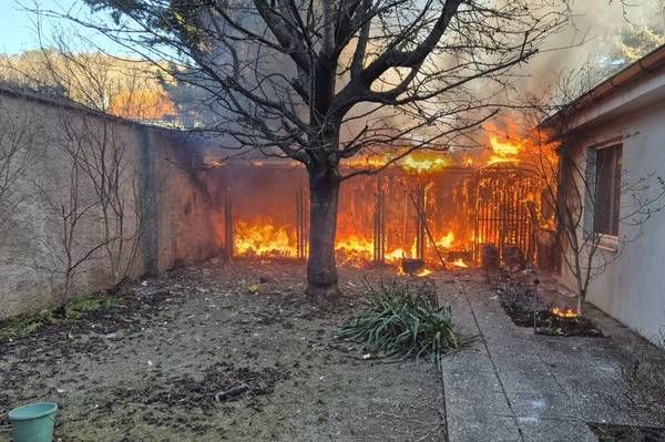 Ein Baum steht inmitten eines vom Feuer verzehrten Gartens, mit einem Gebäude rechts und einer Mauer links.
