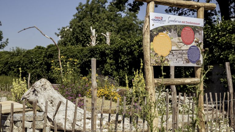 Ein hölzernes Schild mit dem Text 'Ober-Grafendorf Sandarium' ist in einem Garten mit bunten Blumen und Bäumen ausgestellt. Der Hintergrund zeigt einen blauen Himmel.