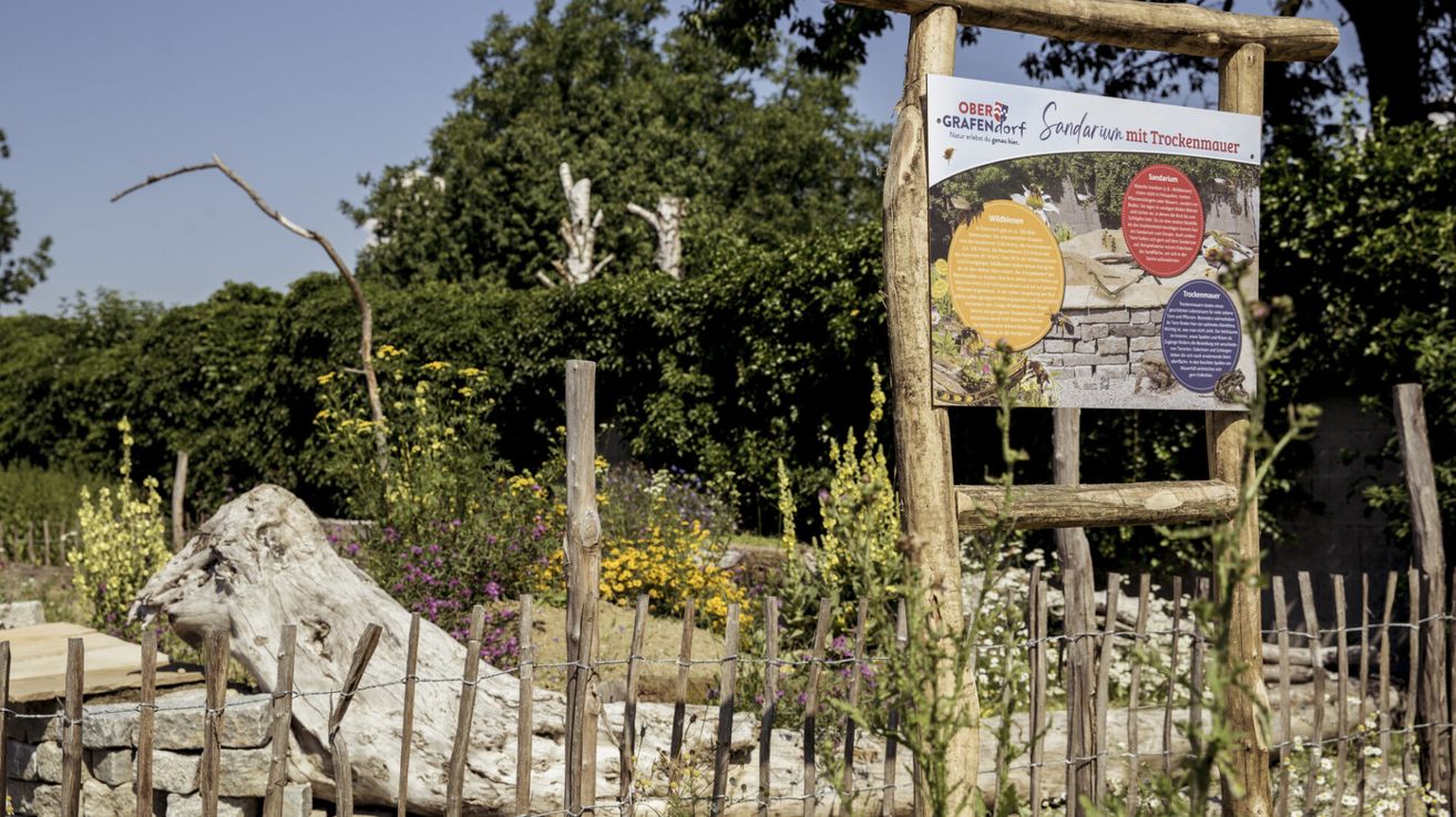 Ein hölzernes Schild mit dem Text 'Ober-Grafendorf Sandarium' ist in einem Garten mit bunten Blumen und Bäumen ausgestellt. Der Hintergrund zeigt einen blauen Himmel.